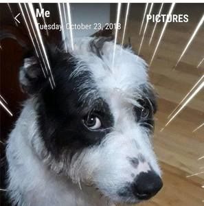 Meet your Posher, Moe